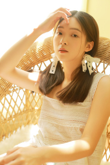 忠奸人 电视剧